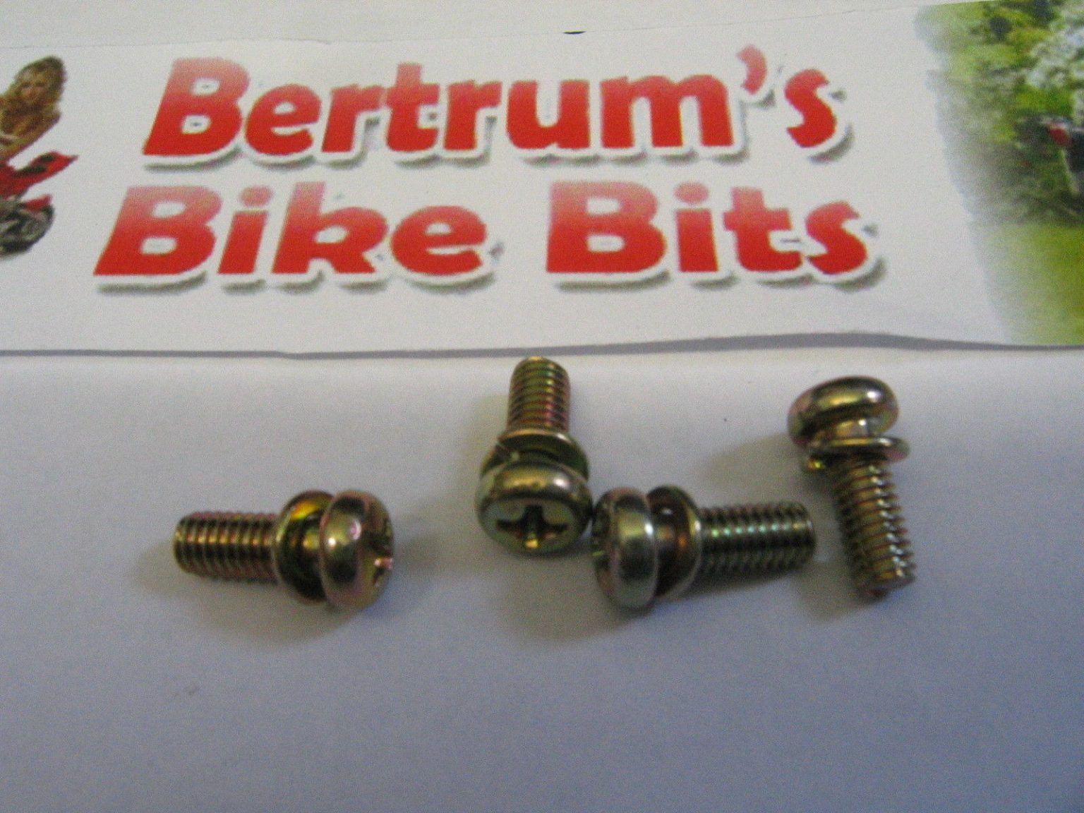 HONDA YAMAHA KAWASAKI SUZUKI CARB FLOAT BOWL SCREWS 4X10 PAN HEAD WITH WASHER Bertrum's Bike Bits