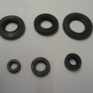 Suzuki TS50ER GT50 OR50 RM50 TS50 ZR50 TS GT OR RM 50 OIL SEAL SET